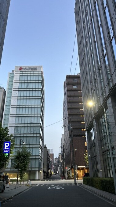 IMG_2176.JPG_380px.jpg