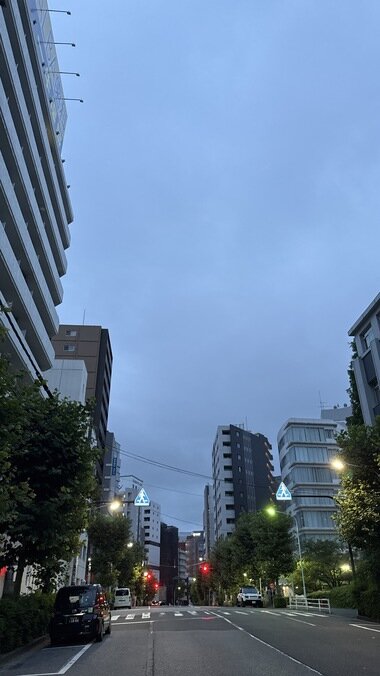 IMG_0099.JPG_380px.jpg
