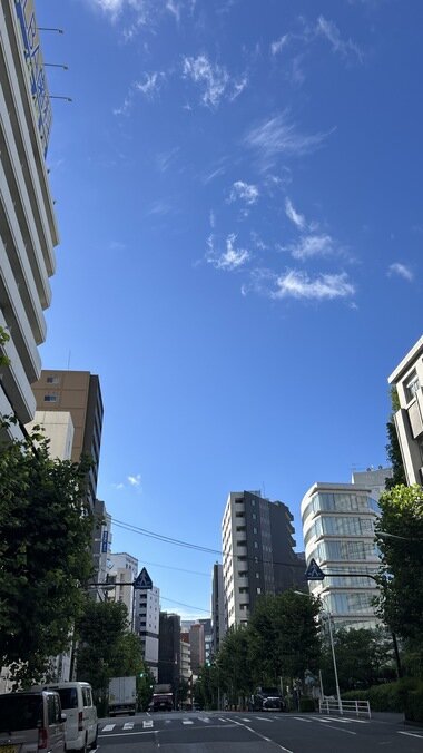 IMG_2281.JPG_380px.jpg