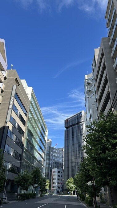IMG_2282.JPG_380px.jpg