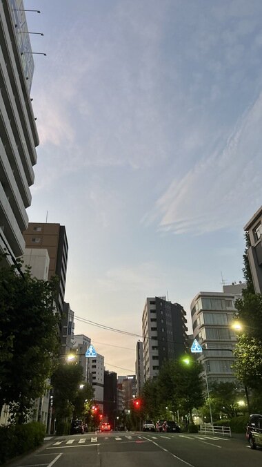 IMG_2324.JPG_380px.jpg