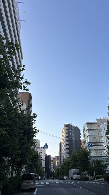 IMG_2337.JPG_380px.jpg