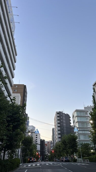 IMG_2357.JPG_380px.jpg