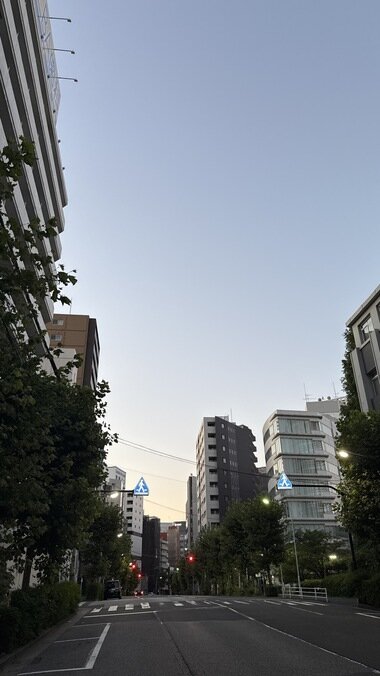 IMG_0108.JPG_380px.jpg