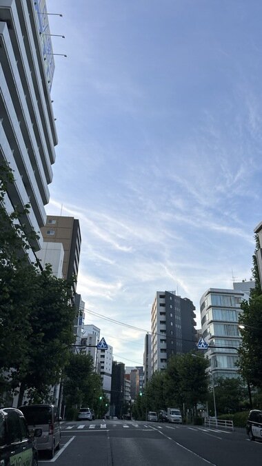 IMG_2376.JPG_380px.jpg