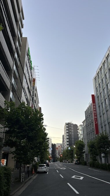 IMG_2394.JPG_380px.jpg