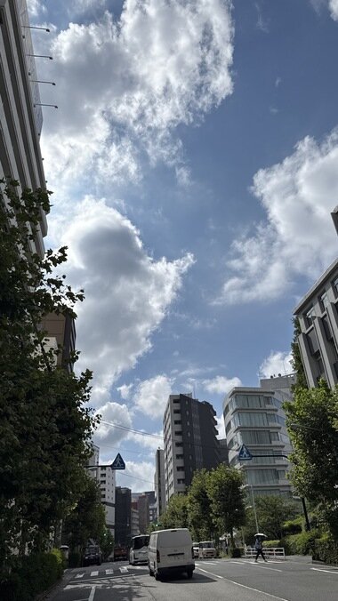 IMG_0110.JPG_380px.jpg