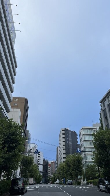 IMG_2425.JPG_380px.jpg