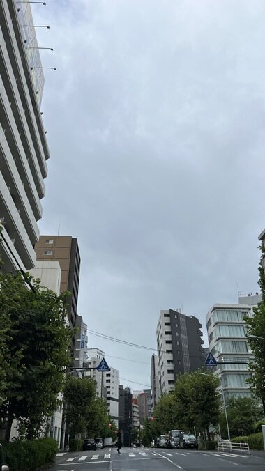 IMG_2437.JPG_380px.jpg