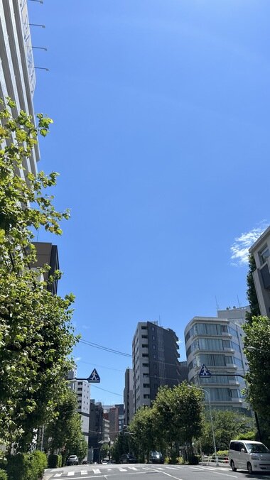 IMG_2442.JPG_380px.jpg