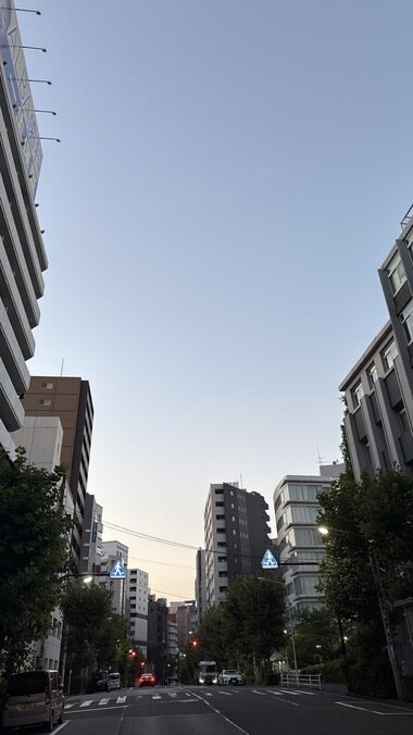 IMG_0112.JPG_380px.jpg