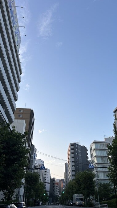 IMG_2469.JPG_380px.jpg