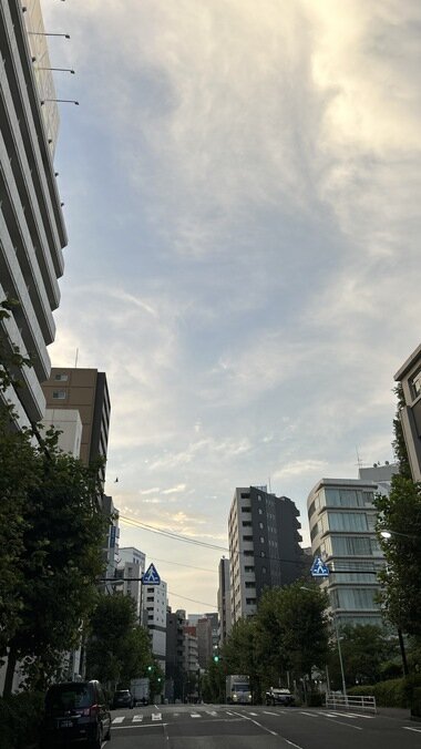 IMG_2485.JPG_380px.jpg