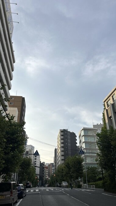 IMG_2508.JPG_380px.jpg