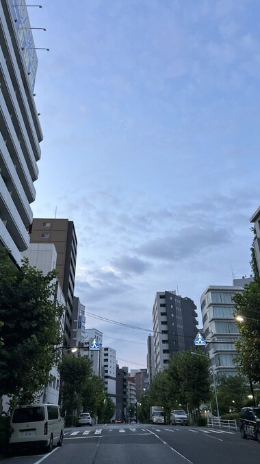 IMG_2532.JPG_380px.jpg