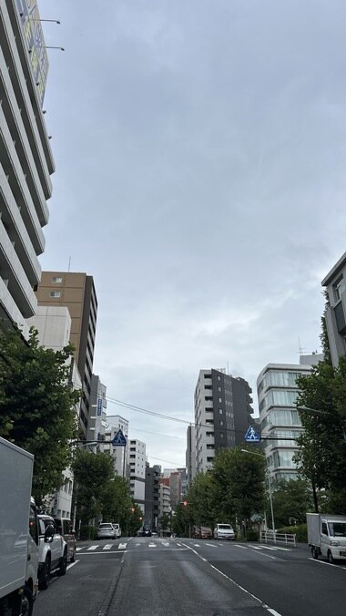 IMG_2563.JPG_380px.jpg