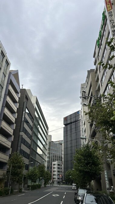 IMG_2572.JPG_380px.jpg