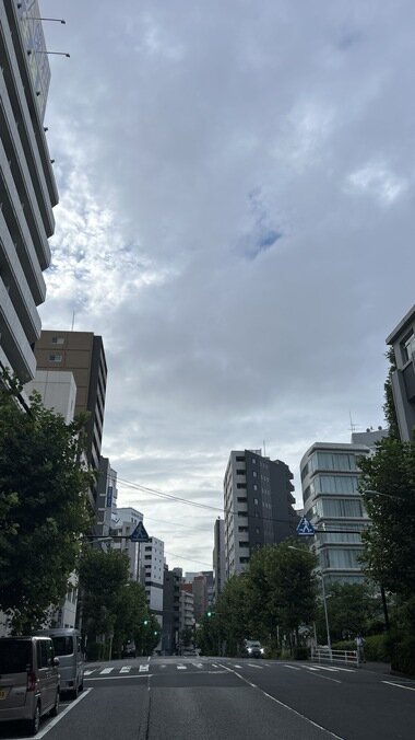 IMG_2583.JPG_380px.jpg