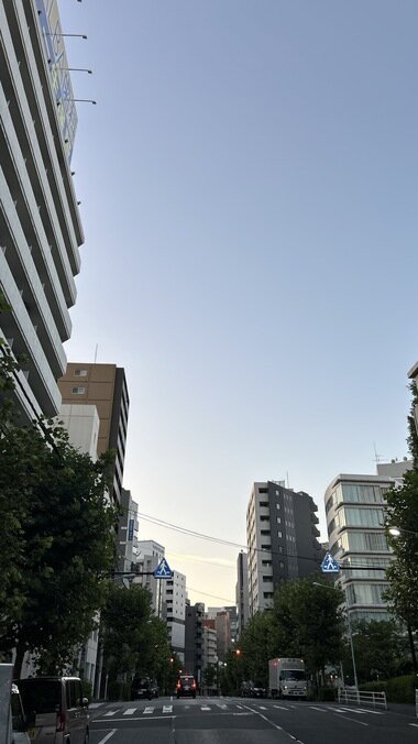 IMG_2599.JPG_380px.jpg