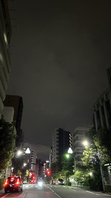 IMG_2609.JPG_380px.jpg