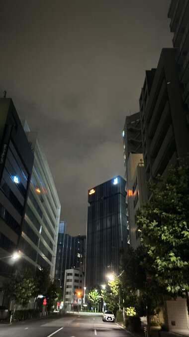 IMG_2610.JPG_380px.jpg