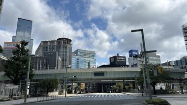 IMG_2632.JPG_380px.jpg