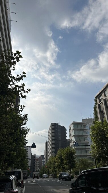 IMG_2668.JPG_380px.jpg