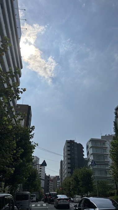 IMG_2730.JPG_380px.jpg
