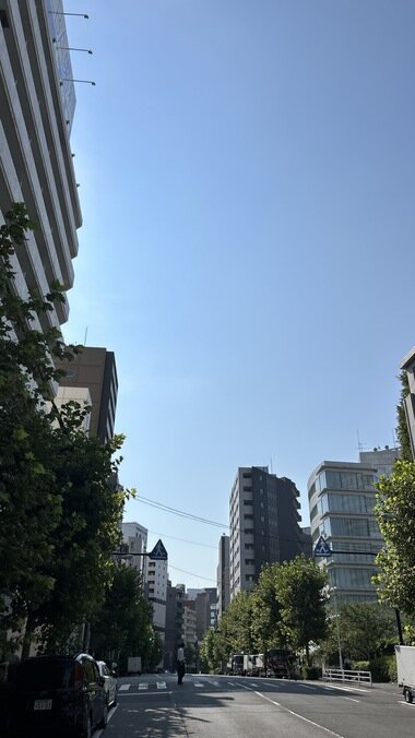 IMG_2825.JPG_380px.jpg