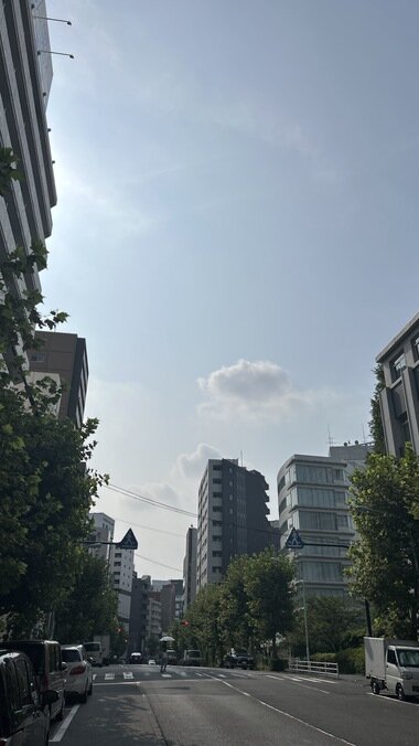 IMG_2859.JPG_380px.jpg