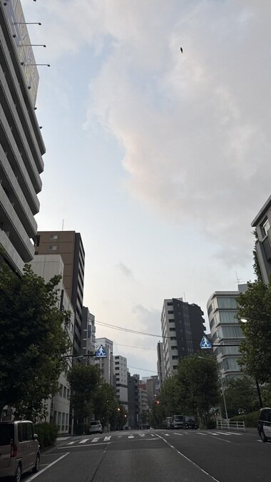 IMG_0162.JPG_380px.jpg