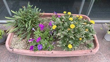 IMG_0164.JPG_380px.jpg