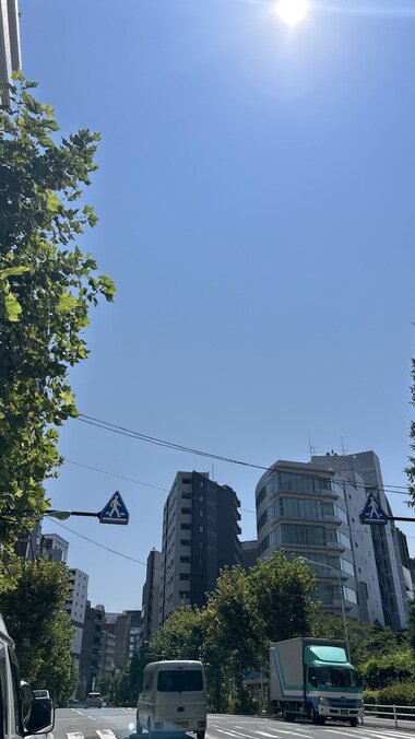 IMG_3038.JPG_380px.jpg