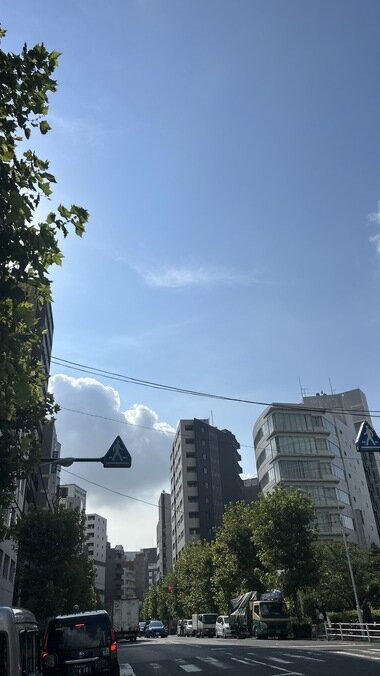 IMG_3104.JPG_380px.jpg