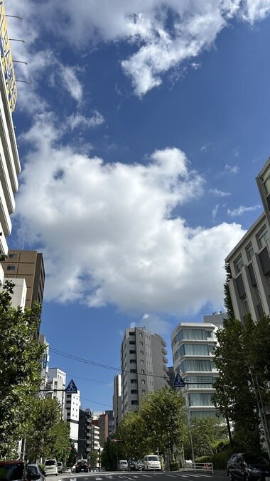 IMG_3315.JPG_380px.jpg