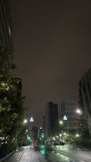 IMG_0180.JPG_380px.jpg