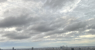 IMG_3395.JPG_380px.jpg