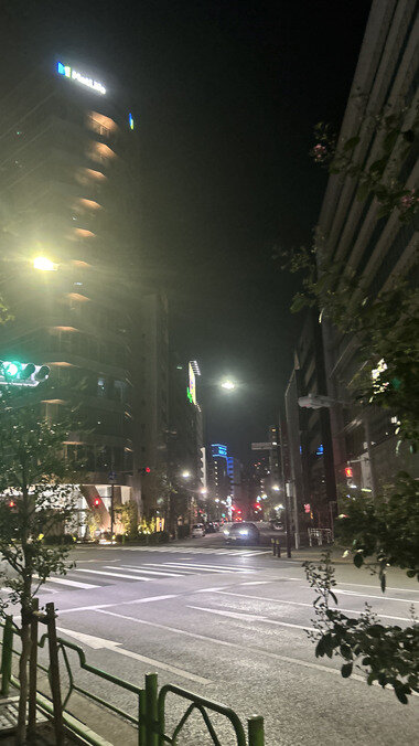 IMG_3419.JPG_380px.jpg