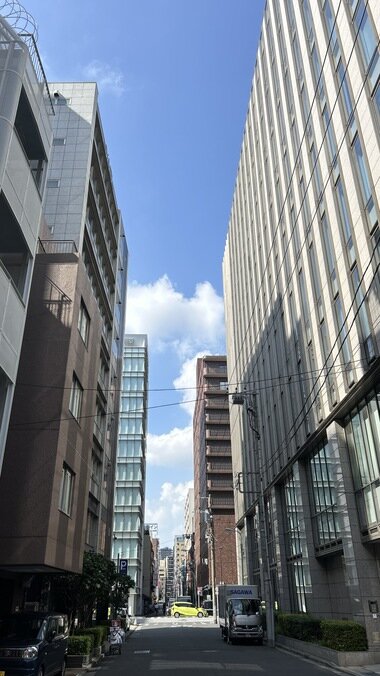 IMG_3458.JPG_380px.jpg