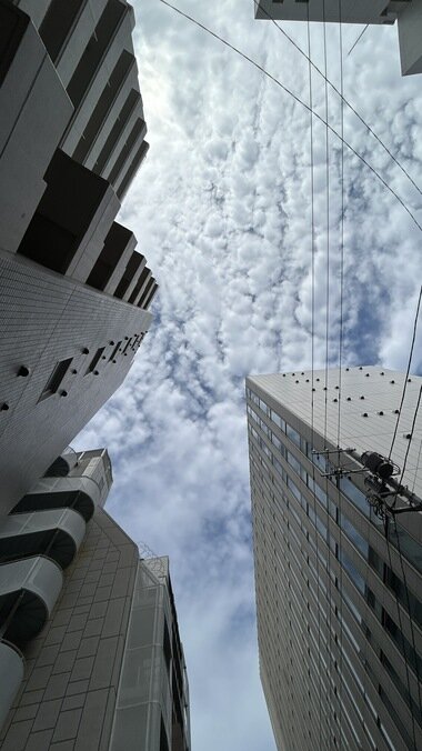 IMG_3579.JPG_380px.jpg