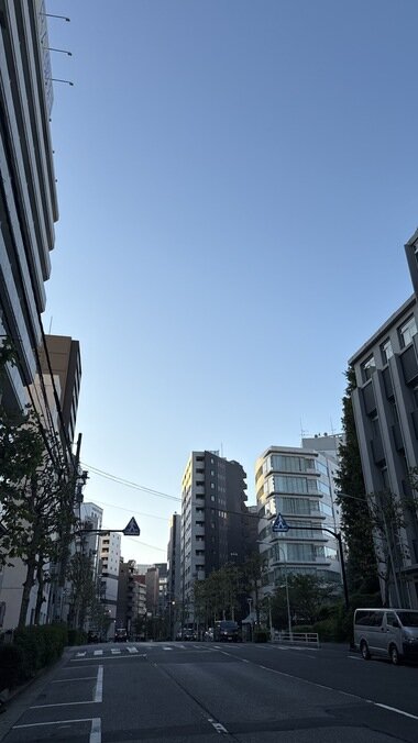 IMG_0184.JPG_380px.jpg
