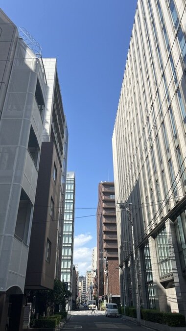 IMG_3615.JPG_380px.jpg