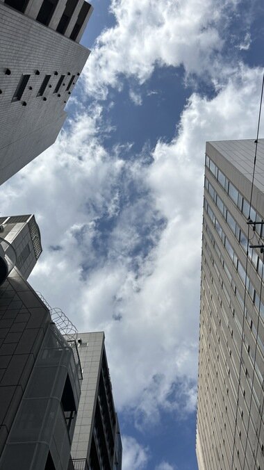 IMG_3648.JPG_380px.jpg