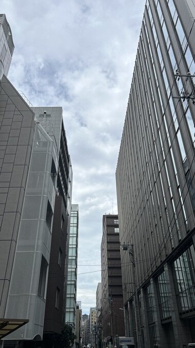 IMG_3655.JPG_380px.jpg