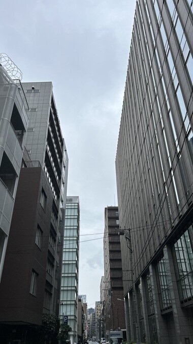 IMG_3686.JPG_380px.jpg