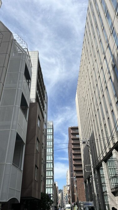 IMG_3703.JPG_380px.jpg