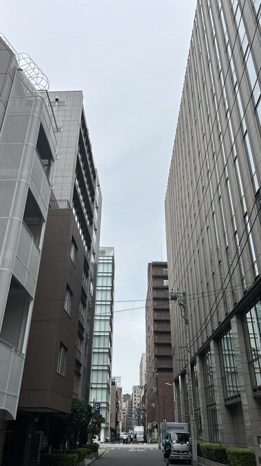 IMG_3710.JPG_380px.jpg