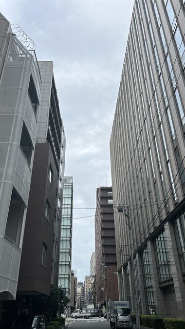 IMG_3746.JPG_380px.jpg