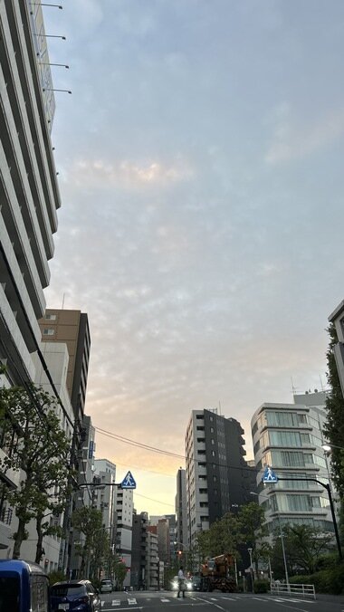 IMG_3798.JPG_380px.jpg
