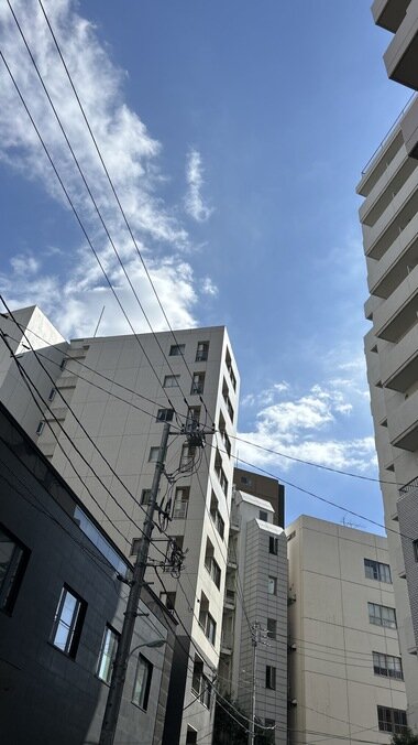 IMG_3812.JPG_380px.jpg